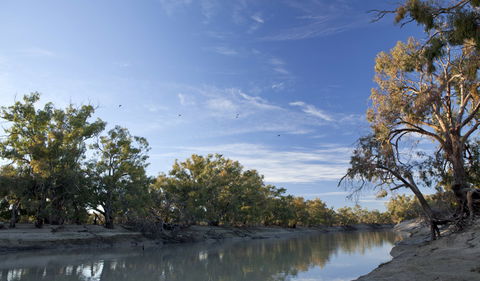 Darling River Campground - Accommodation Broome 0