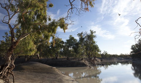 Darling River Campground - Accommodation Broome 1