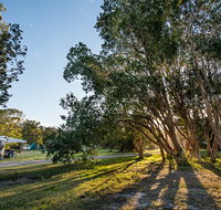 Delicate campground - Accommodation Broome