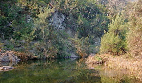 Doon Goonge Campground - Accommodation Broome 1