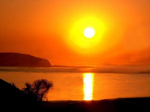 The Black Dolphin - Accommodation Broome 2