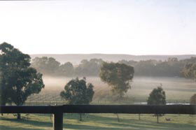 Settlers Rest Farmstay Swan Valley - Accommodation Broome 3