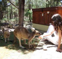 Yelverton Brook Eco Spa Retreat and Conservation Sanctuary - Accommodation Broome