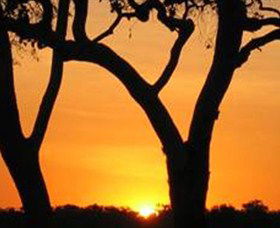 Coodardie Station Stay - Accommodation Broome 2