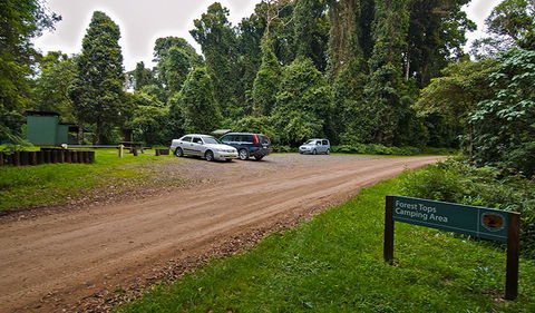 Forest Tops Campground - Accommodation Broome 2