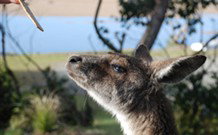 Joalah Holiday Park - Accommodation Broome 1