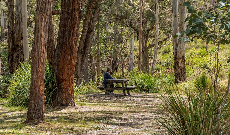 Lower Acacia Creek NSW Accommodation Broome