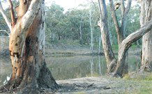 Mclean Beach Holiday Park - Accommodation Broome 5