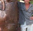 Michael's Clarence Valley Retreat - Accommodation Broome