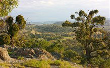 Widgee Murra - Accommodation Broome 6