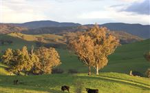 Widgee Murra - Accommodation Broome 7