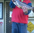 Rainbow Pines Tourist Caravan Park - Accommodation Broome