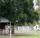 Warialda Caravan Park - Accommodation Broome