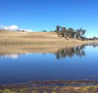 Bombala Maneroo Motel - Bombala - Accommodation Broome