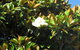 Golfers Lodge Motel - Corowa - thumb 3