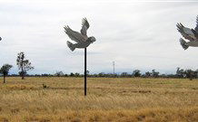 Gulargambone NSW Accommodation Broome