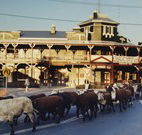 The Commercial Hotel Coonamble - Coonamble - Accommodation Broome