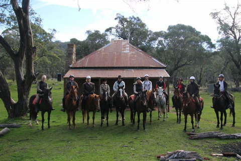 Reynella Homestead And Horseback Rides - Accommodation Broome 4