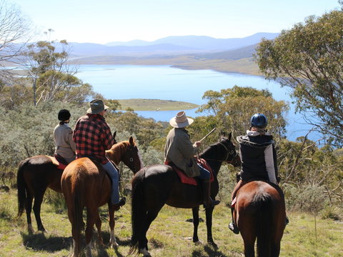 Reynella Homestead And Horseback Rides - Accommodation Broome 0