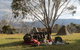 Reynella Homestead And Horseback Rides - thumb 5