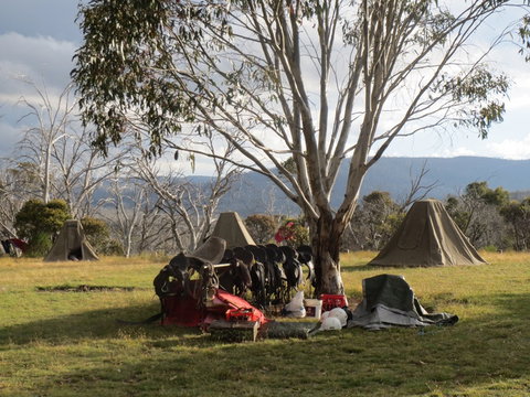 Reynella Homestead And Horseback Rides - Accommodation Broome 1