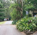 Tamborine Mountain Caravan  Camping - Accommodation Broome