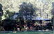 Barrington Guest House - thumb 0