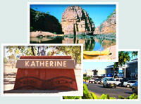 Red Gum Tourist Park - Accommodation Broome 0