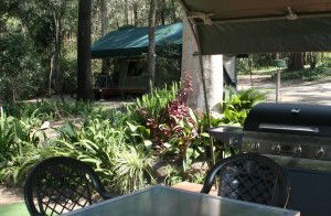 Tamborine Mountain Caravan & Camping - Accommodation Broome 2