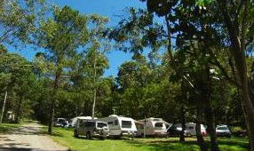 Tamborine Mountain Caravan & Camping - Accommodation Broome 3