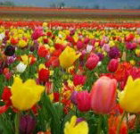 Golfview Lodge - Accommodation Broome