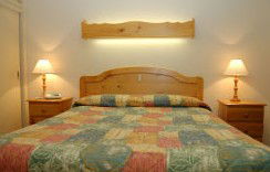 Best Western Fawkner Airport Motor Inn & Serviced Apartments - Accommodation Broome 1