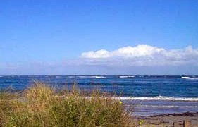 Carleton Inn - Accommodation Broome 2