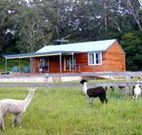 Moorallie Cottage Farm Stay - Accommodation Broome