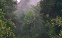 Havans Ecotourist Retreat - - Accommodation Broome 0