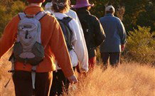 Mangrove Yoga Ashram - - Accommodation Broome 3