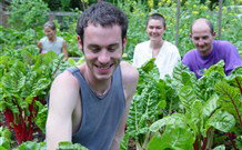 Mangrove Yoga Ashram - - Accommodation Broome 8
