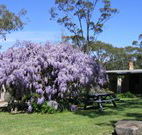Studio Cottages - Accommodation Broome