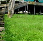 Snowy Valley Resort - Accommodation Broome