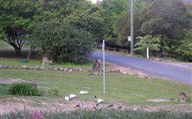 Calurla Chalets And Cottages - Accommodation Broome 2