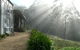Sea Spray - thumb 3