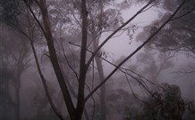 SeaChange Holiday Cottage And SeaStay Cottage - Accommodation Broome 4