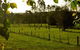 Stone Cottage Mittagong - thumb 0
