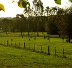 Stone Cottage Mittagong - Accommodation Broome