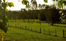 Stone Cottage Mittagong - Accommodation Broome 0