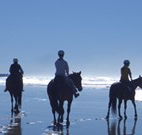 The Hayloft - Accommodation Broome