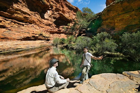 Kings Canyon Holiday Park - Accommodation Broome 8