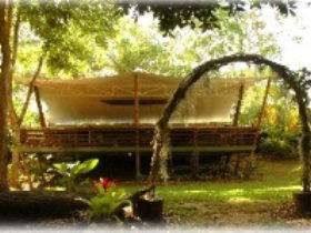 Cedar Park Rainforest Resort - Accommodation Broome 2