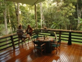 Cedar Park Rainforest Resort - Accommodation Broome 3