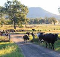 Tommerups Dairy Farmstay - Accommodation Broome